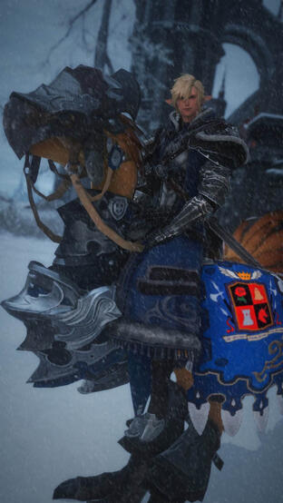 Knight